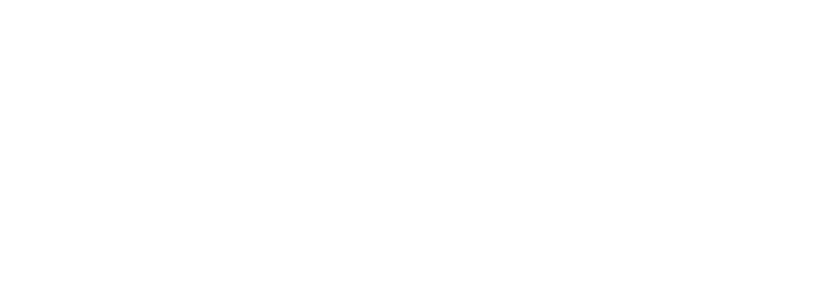 Aries Systems Logo